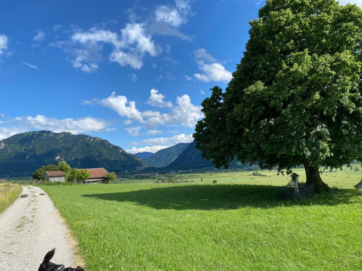 バート・コールグループIm- Oberland - Berg - Koenigscardアパートメント エクステリア 写真