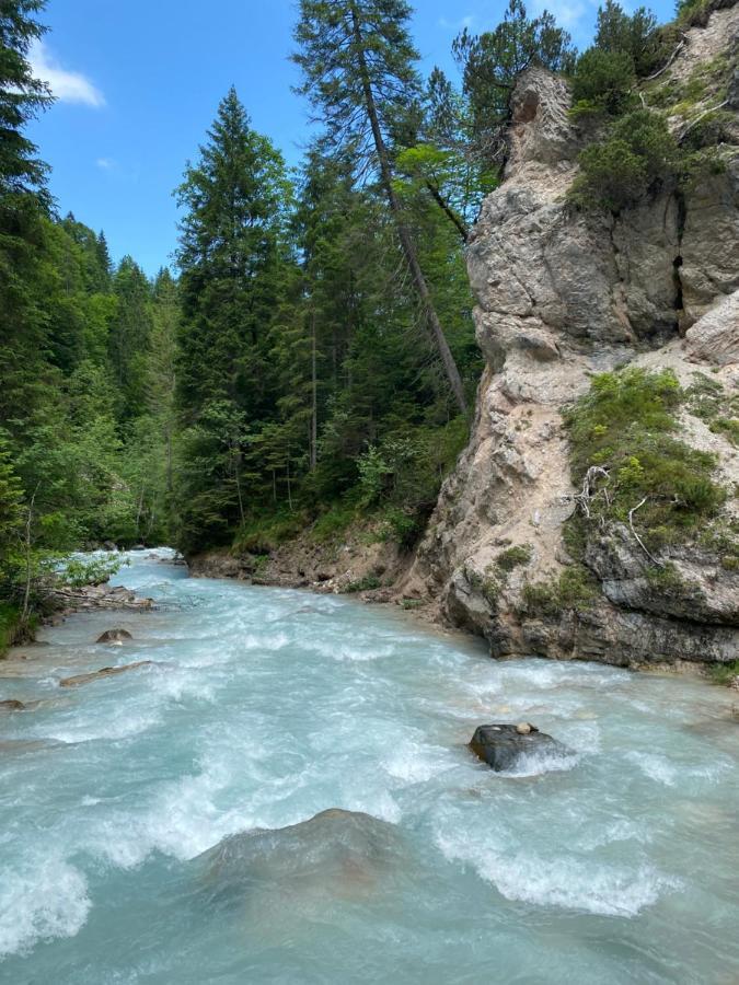 バート・コールグループIm- Oberland - Berg - Koenigscardアパートメント エクステリア 写真