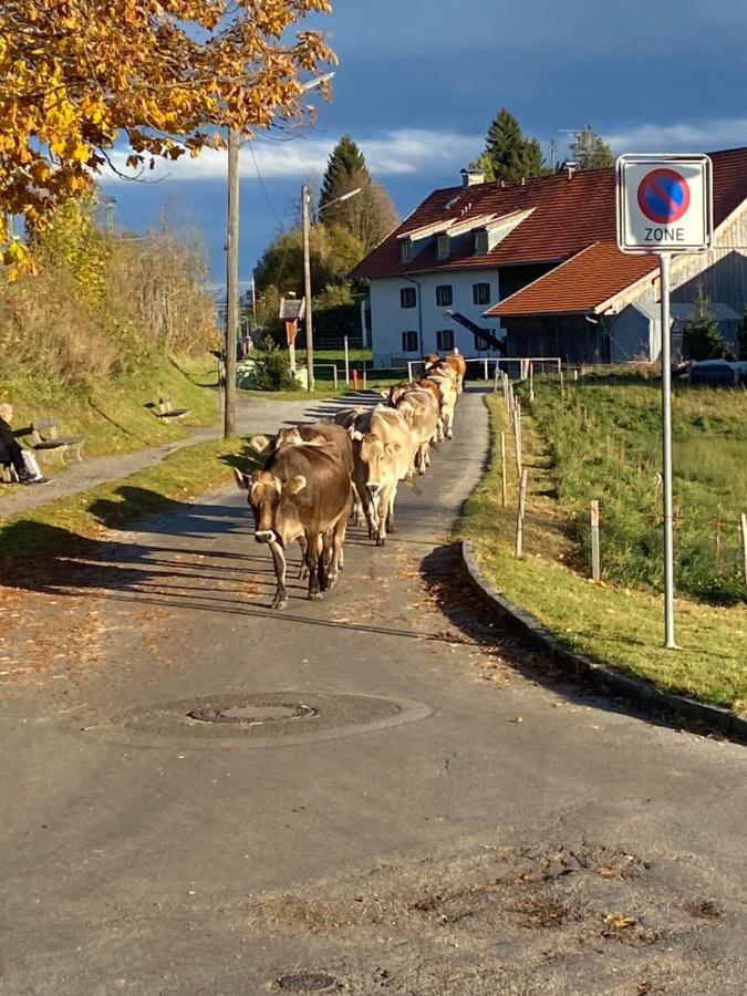 バート・コールグループIm- Oberland - Berg - Koenigscardアパートメント エクステリア 写真